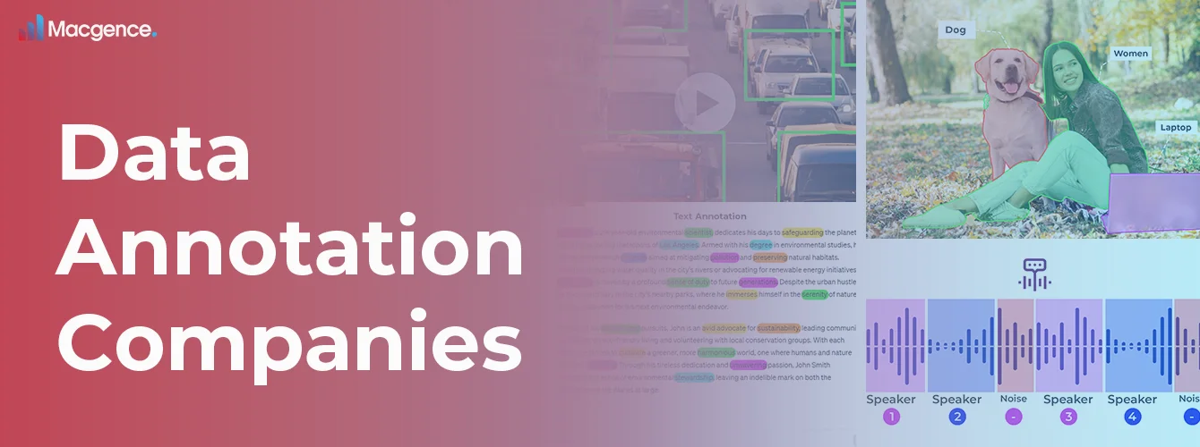 Data annotation Companies