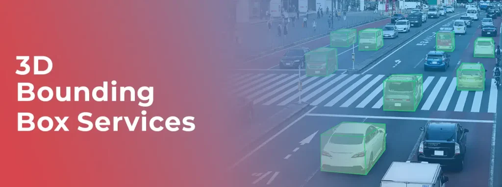 3D Bounding Box Services