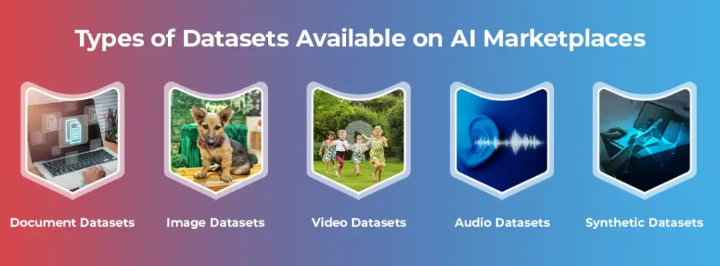 Types of Datasets Available on AI Marketplace