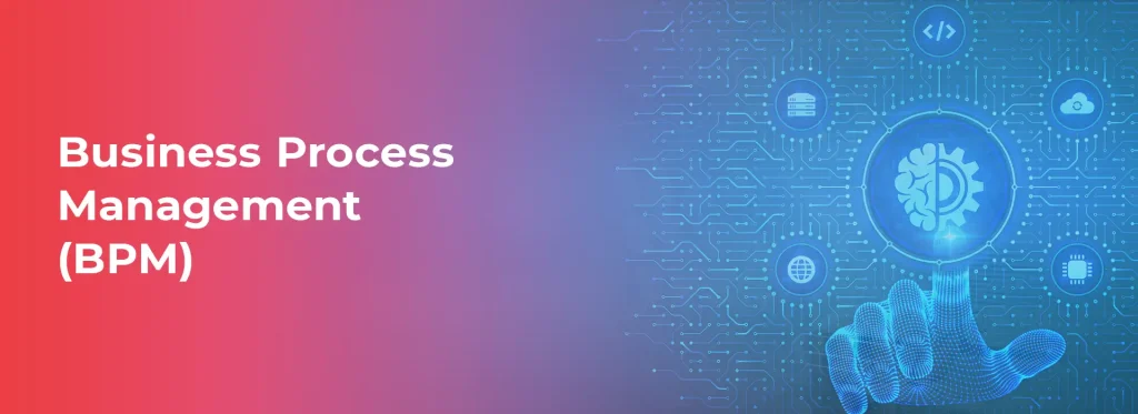 Business Process Management (BPM)