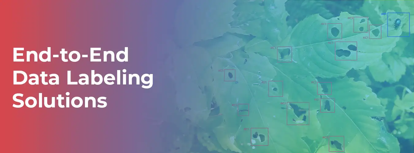 End-to-End Data Labeling Solutions