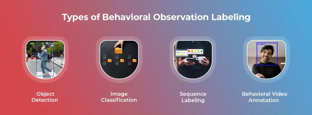 Types of Behavioral Observation Labeling