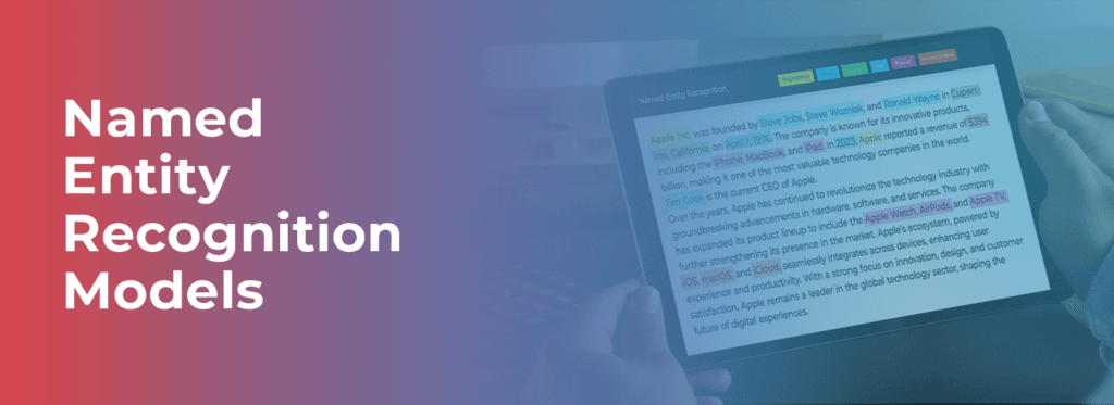 Named Entity Recognition Models