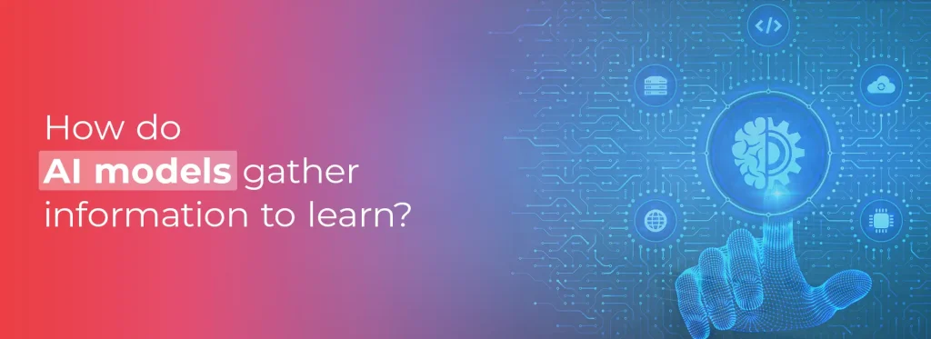 How do AI models gather information to learn