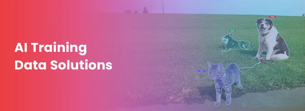 AI training data solutions