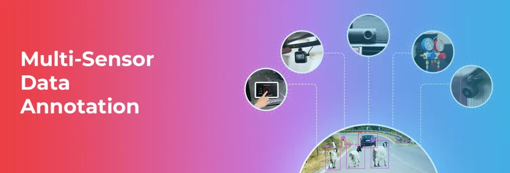 Multi-Sensor Data Annotation