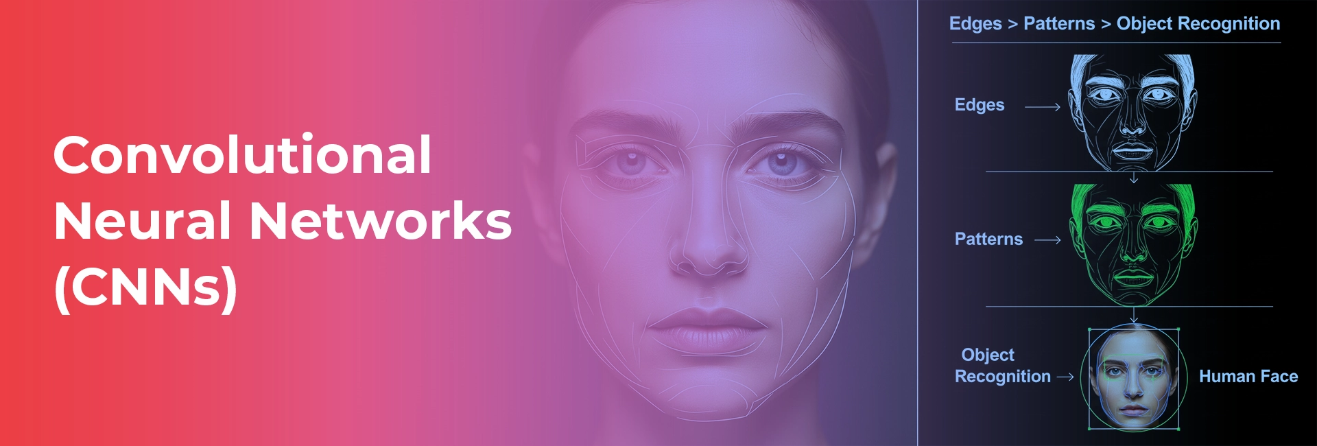 Convolutional Neural Networks (CNNs)