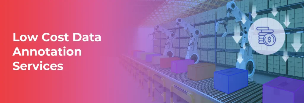 Low Cost Data Annotation services