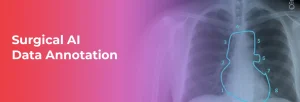 Surgical AI Data Annotation
