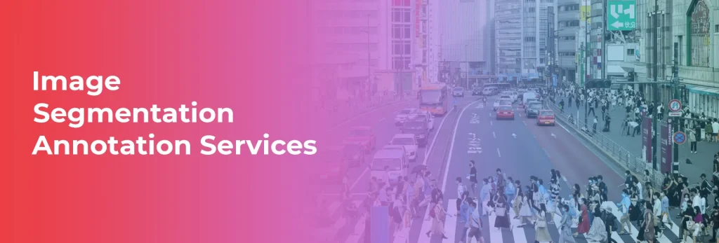 Image Segmentation Annotation