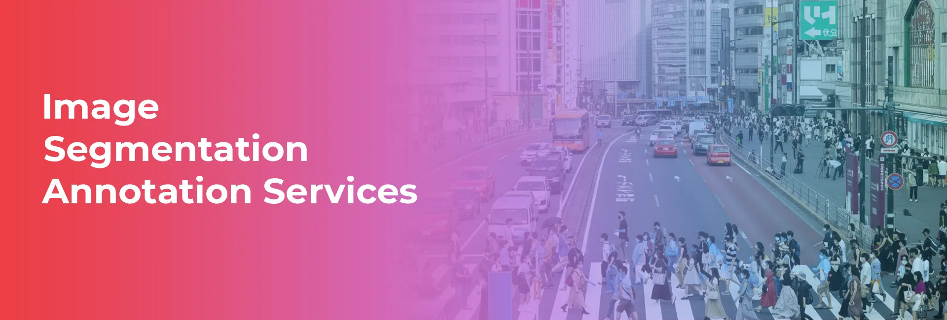 Image Segmentation Annotation