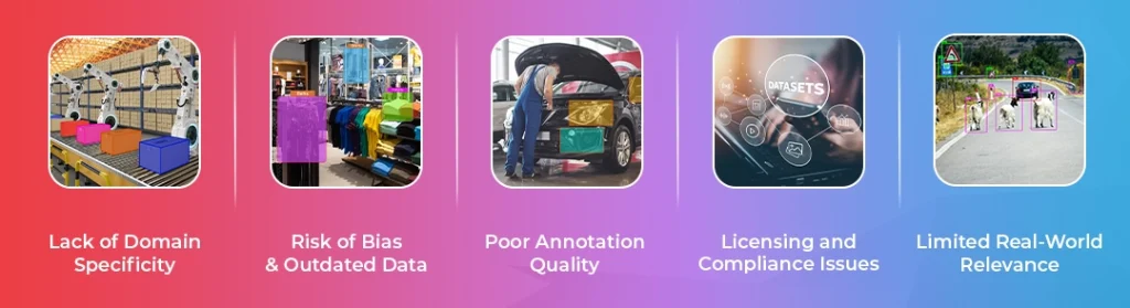 Limitations of Prebuilt Datasets