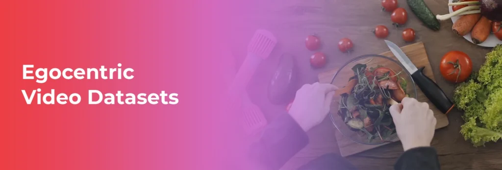 Egocentric Video Datasets