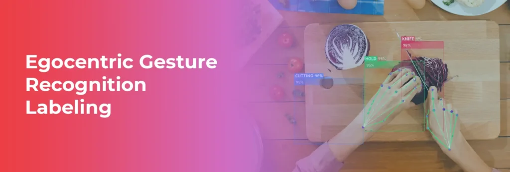Egocentric Gesture Recognition Labeling