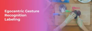 Egocentric Gesture Recognition Labeling