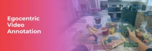 Egocentric Video Annotation
