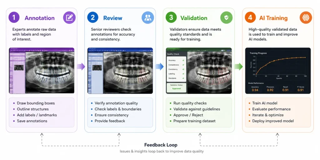 Key Challenges in Radiology Image Annotation