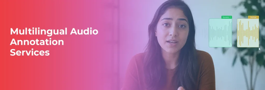 Multilingual Audio Annotation Services