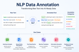 NLP Data Annotation