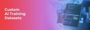 Custom Datasets Training
