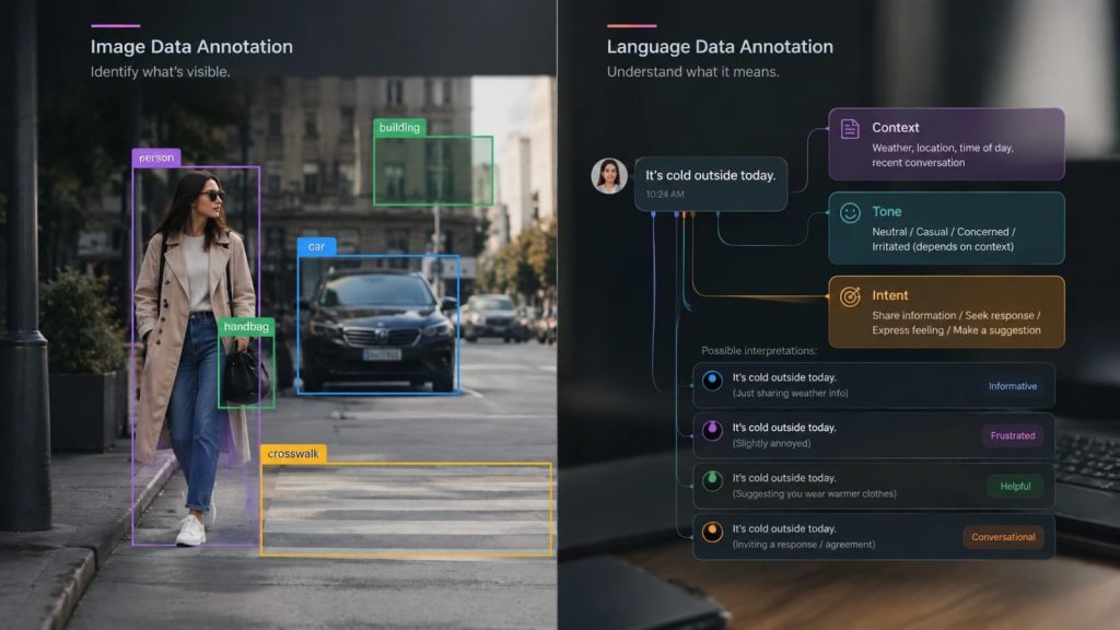 Annotation Provider for AI Training