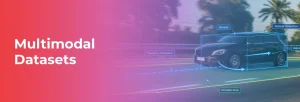 Multimodal Datasets