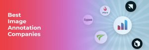 Best Image Annotation Companies in 2026: Compare Services, Accuracy and Pricing