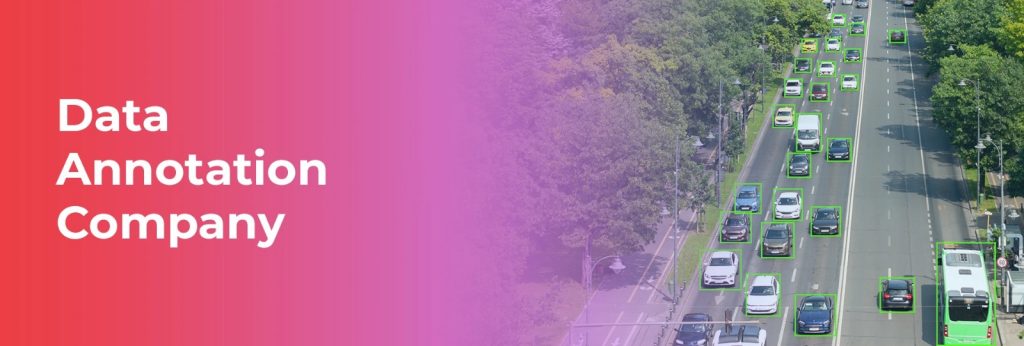 data annotation company