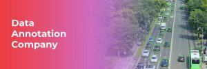 Data Annotation Company for AI Training: From Healthcare Data Labeling to Robotics & Multimodal Datasets 
